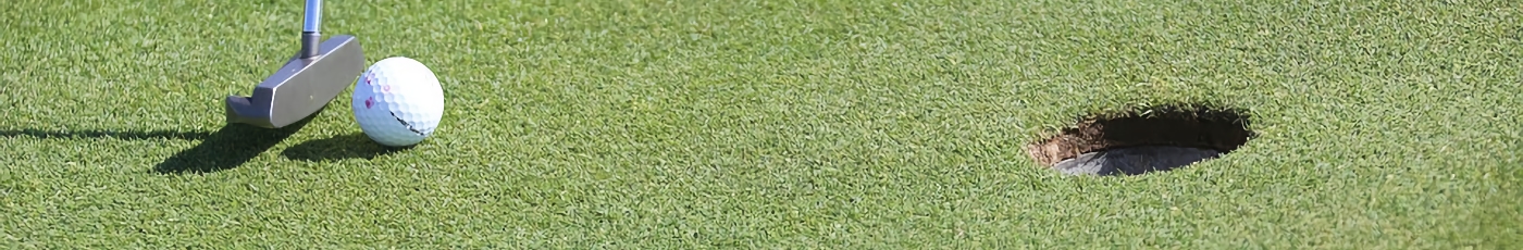 Rescue Clubs.co.uk Rescue Clubs clubs golf green